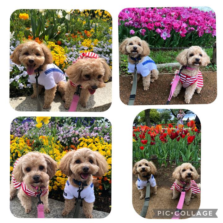 F07c9e78 3ba7 4862 af33 2e12abed023b 1681646157874