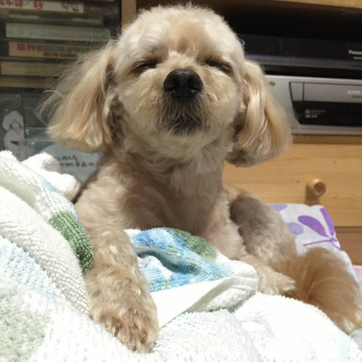 F07ca03f d389 4c67 b55a 5bdd0dd05d64 1562505665898