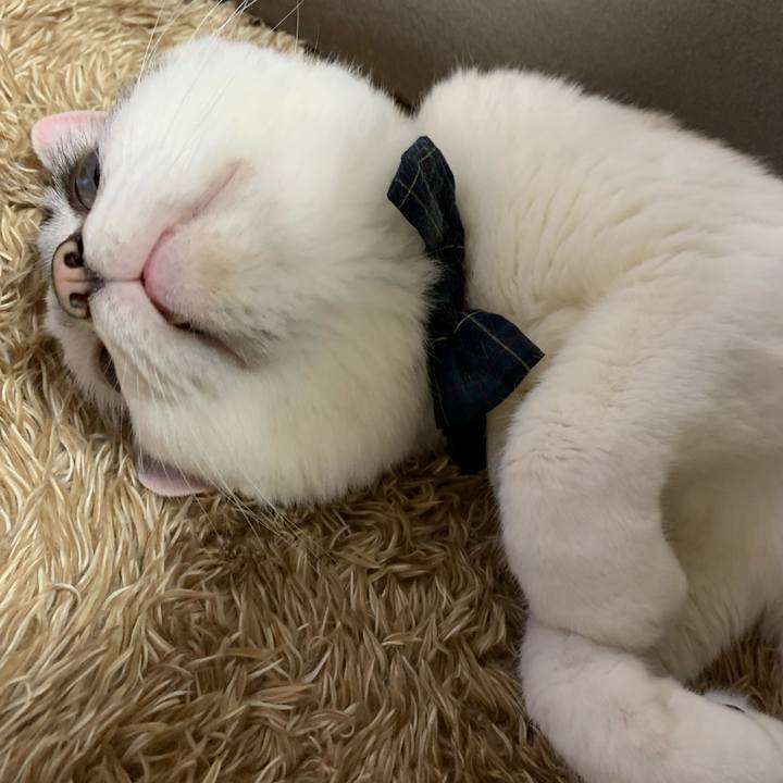 F07d048e 1a53 4a28 8ddc 145aca3641d4 1589019214392