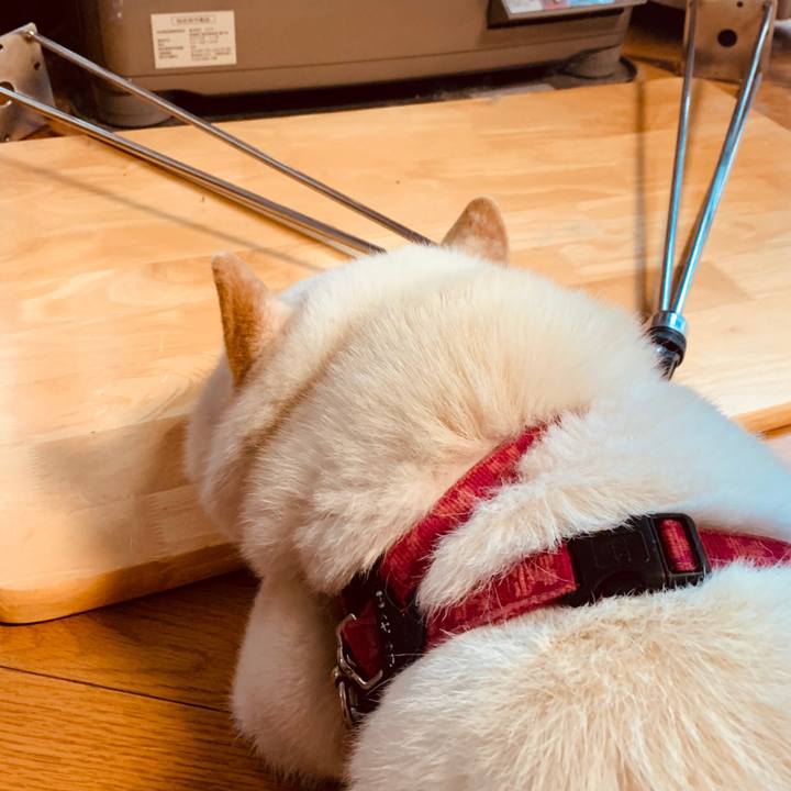 F07d249d c85b 425d 8f6f 7d5283e467ae 1580168942037