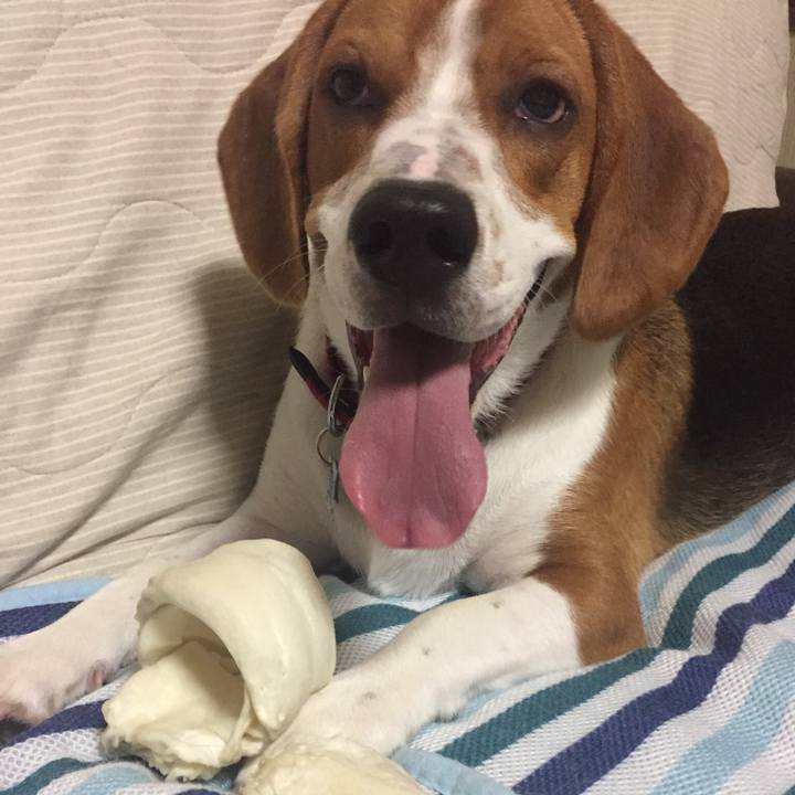 F07d3384 5eeb 45b6 8146 cf1ad325ba85 1535724372868