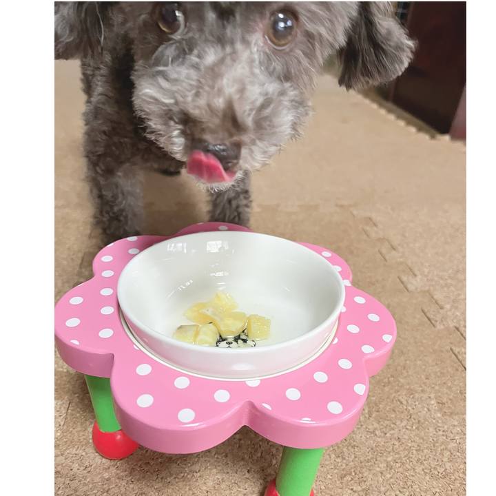 F07d3a8d 0d19 460a a9f2 9f05ffe4f751 1665038762942