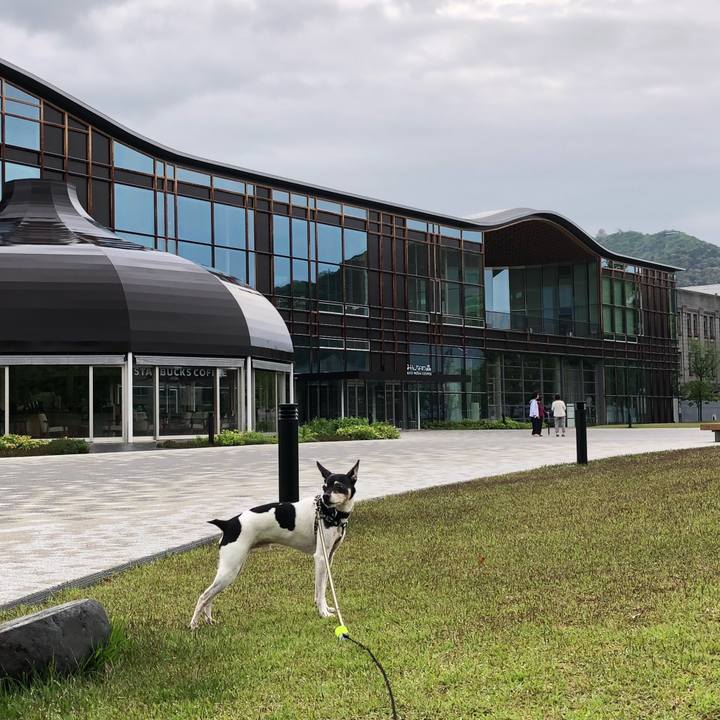 F07d4679 0e15 43d0 991f f7a886d21367 1525299165115