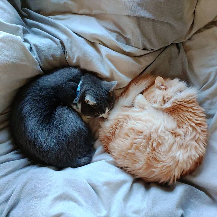 F07d94a1 4650 434a 8589 6272247cfdf3 1675754410222