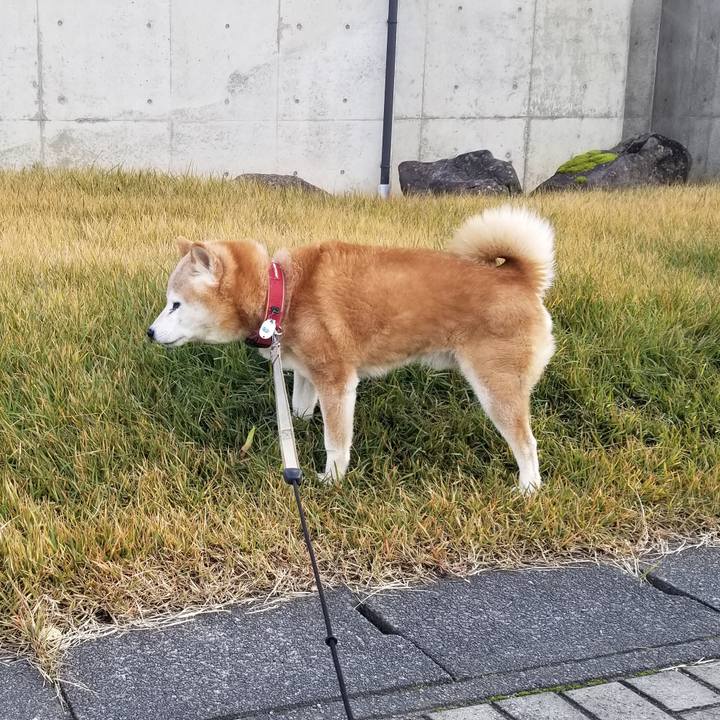 F07dd39f 5ee4 4f80 a8b4 648bfe913a31 1762591880073