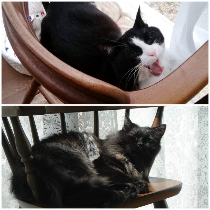 F07dda55 db7f 49d4 8c9b a2c6e702bbc3 1595251375920