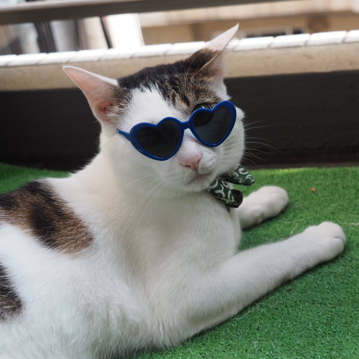 F07e374e a2ee 44ee a674 24023359748d 1531956077416