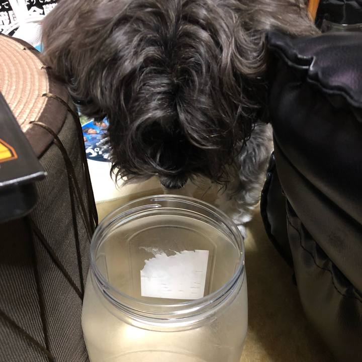 F07e58cd a64e 4ed9 b8ae 316c9ed37550 1524830248032