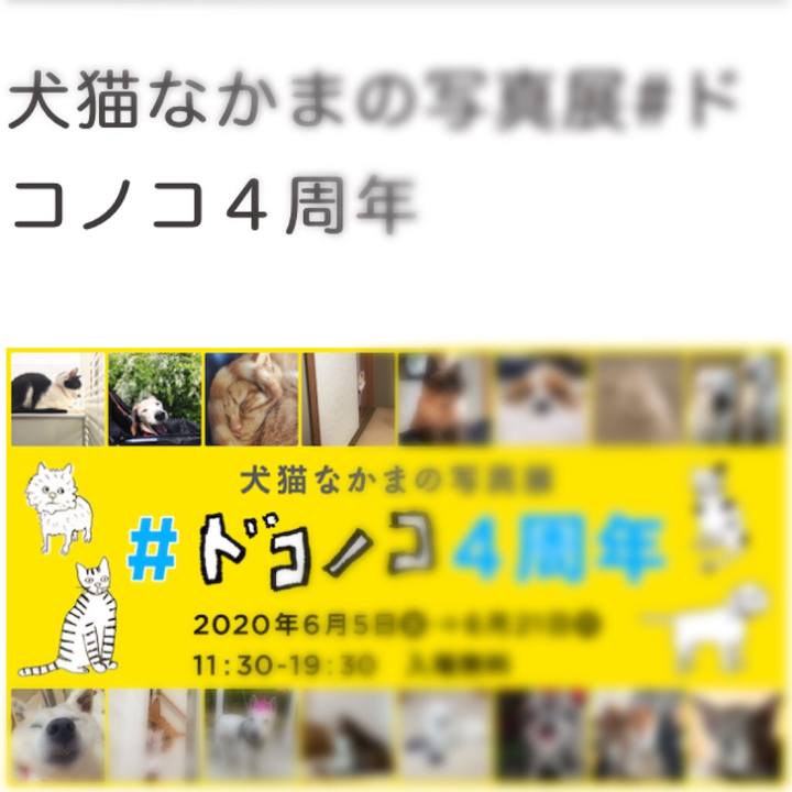 F07e797e 8049 4b00 b766 af789e3d1a6a 1590937380701
