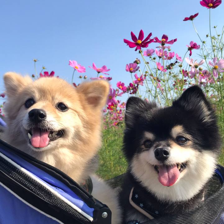 F07ec46c 5754 4281 9765 9657c749b421 1635348254630