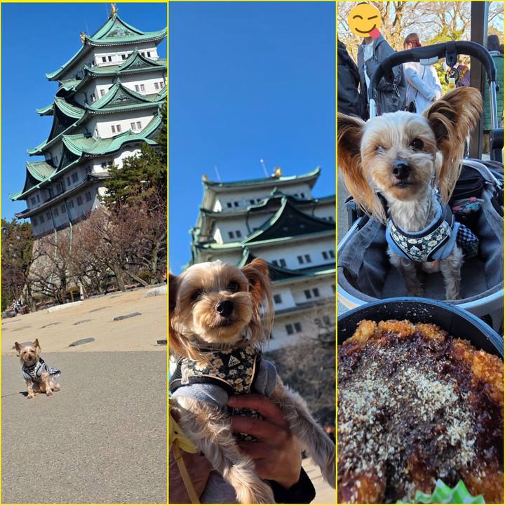 F07ec71d 5b7b 4faa 96db e9f5ac8cb66b 1768043185046