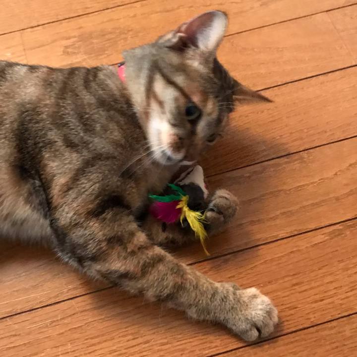 F07f1052 f5c9 497e 950e 81e479b3b34c 1587985430065