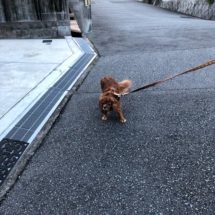 F07f2241 4abd 48eb b6e7 078948d5759d 1634768554192