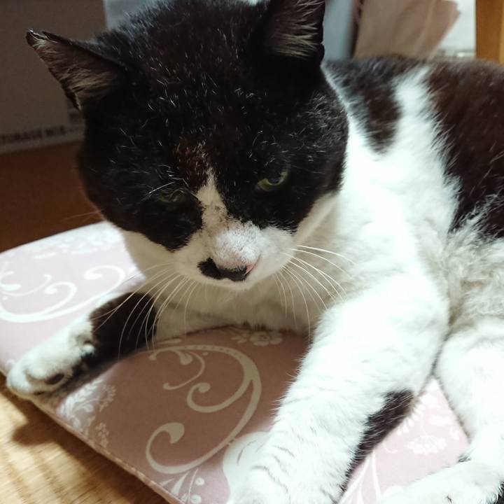 F07f53a1 a13f 49c6 ae31 17593340f091 1653657108499