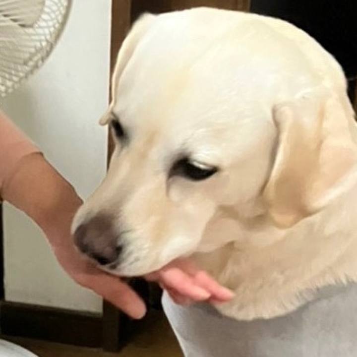 F07f8b7f 6d17 478b b2c6 5f0c9287fd7a 1667482464437