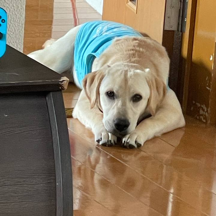 F07f91f5 b5ea 48f0 9850 04b36696ce5f 1622073448168