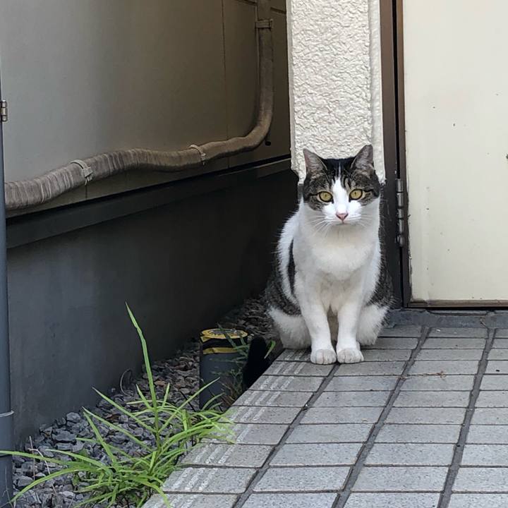 F07fb716 fa56 4bc5 b4c4 5f1ff936aad7 1559306029717