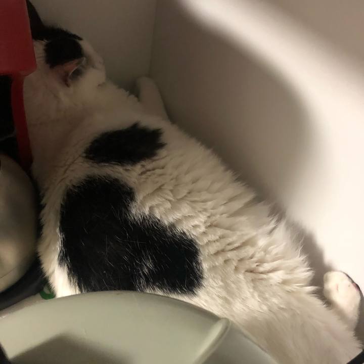 F07fbcc1 b982 4af4 a45e 538cbdb7b4f1 1591541838157