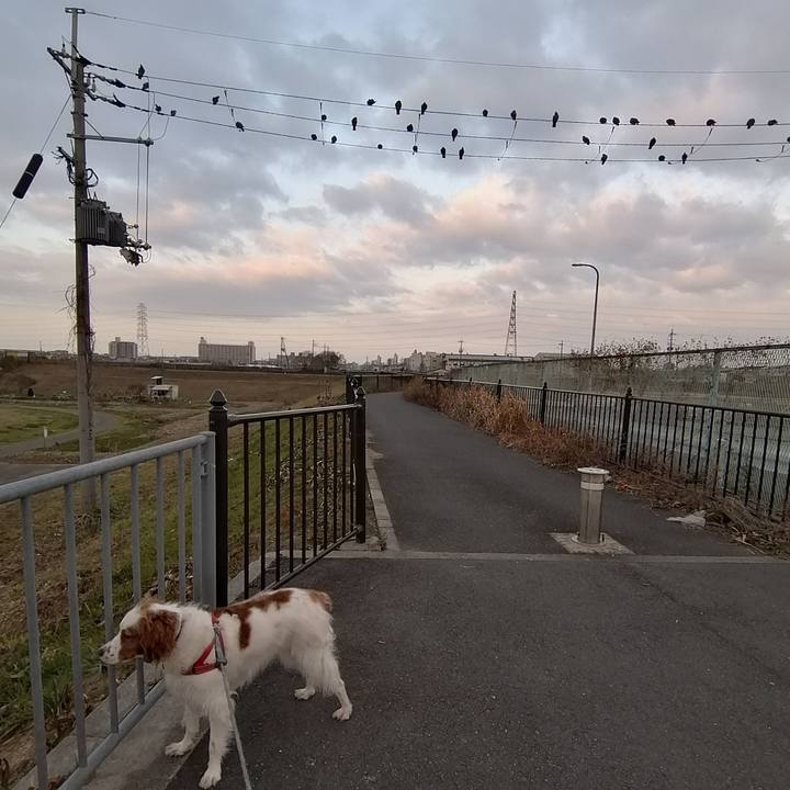 F07fc599 da47 4dba 99ea c09143733d5e 1579563374164