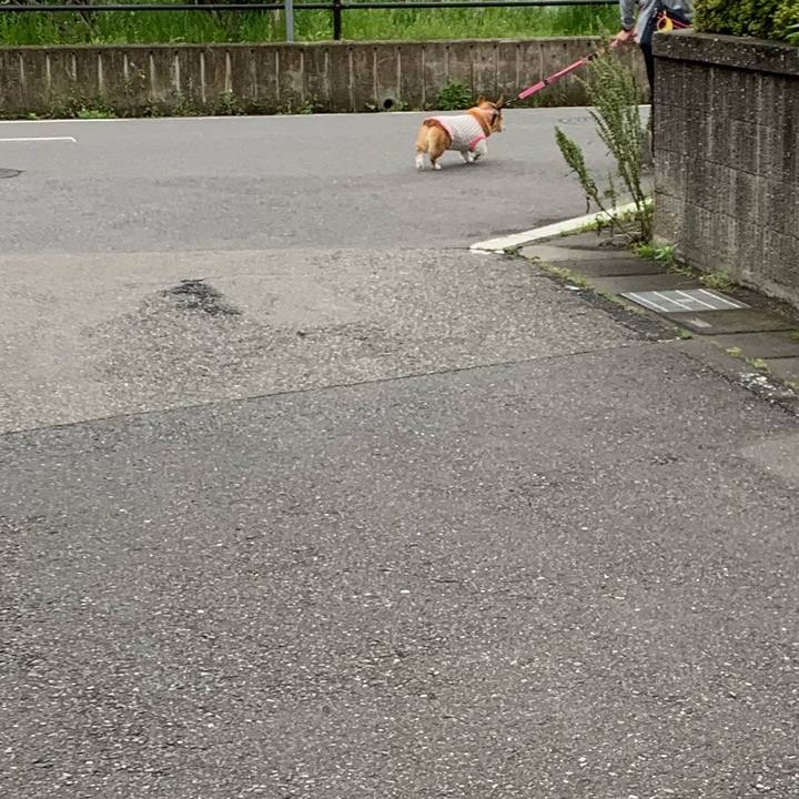 F0804f0c 928c 4de9 8b8d 9bd075158227 1590015869141