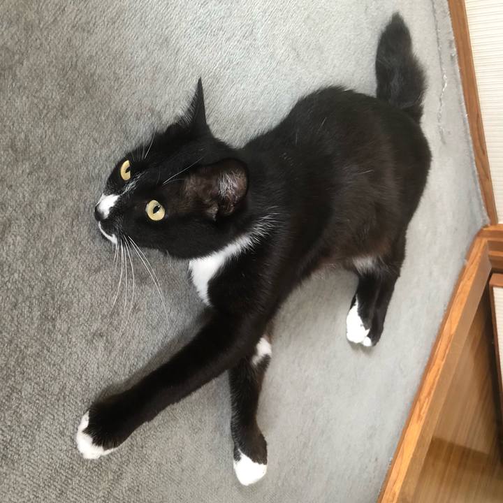 F0808082 6834 451b 974f 6336f8c212fb 1660621436600