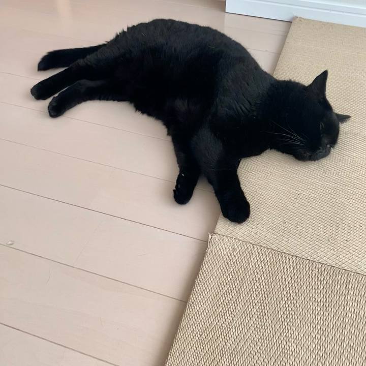 F0808cbc c512 4aa0 9c53 77d731987e52 1756451413805