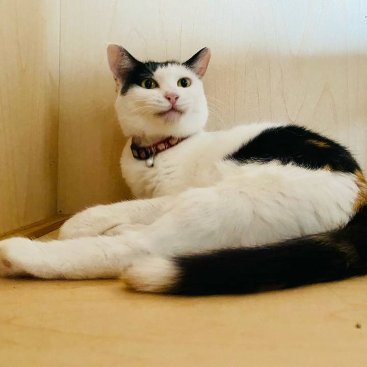 F080a625 46db 4360 9a7e 5366f5931cce 1660569922315