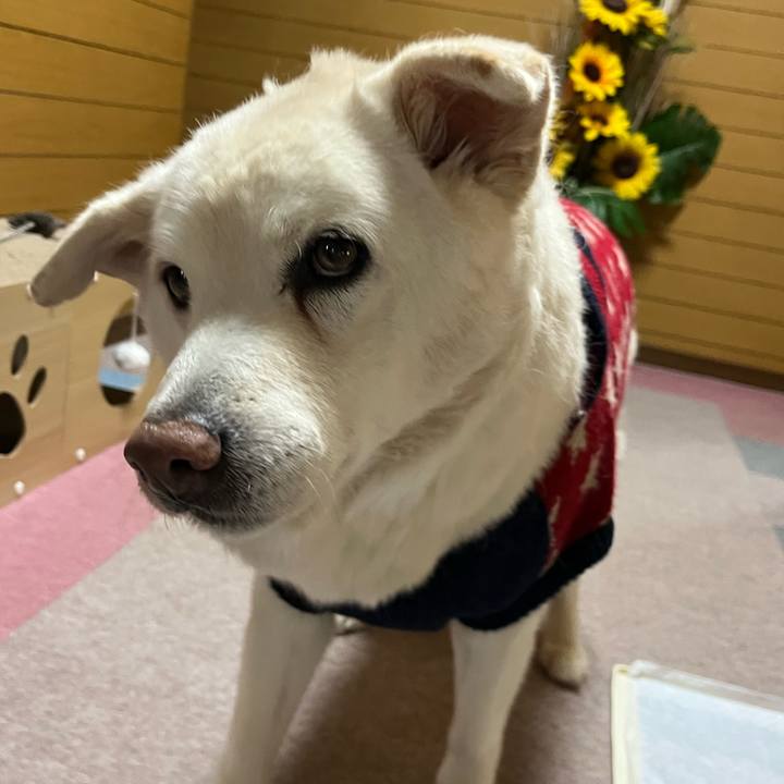 F0810a80 ceb9 425c bc10 73aa52349463 1768696918117