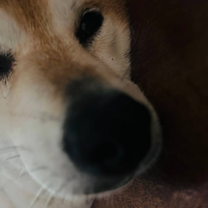 F081172d 85af 475d 841f bcca84400b16 1726106137326