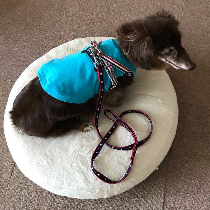 F0812193 c68a 4f2c 99da 1a3d9df0327b 1565568433851