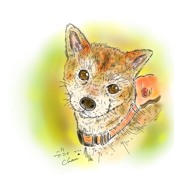 F0812365 2c76 4639 aea0 e065d0558625 1583250633704