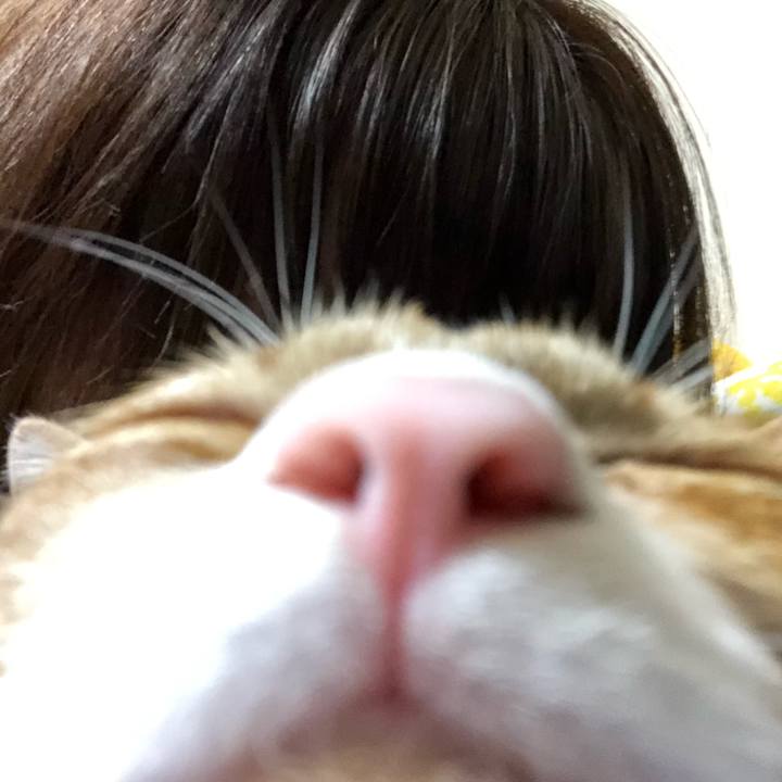 F08127d5 d44f 4a76 9f99 c8ecfba4af69 1563178933887