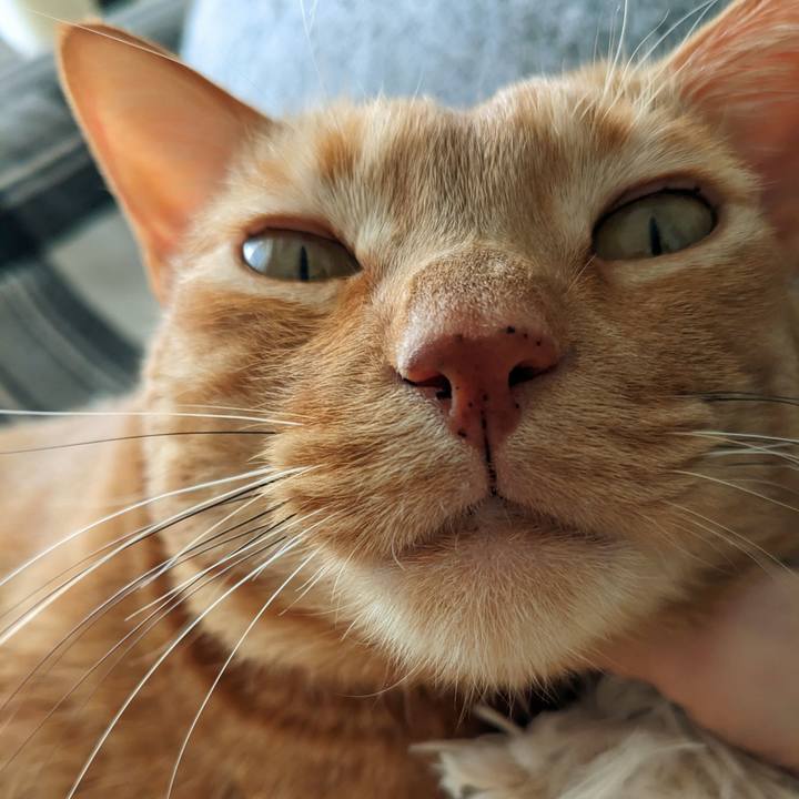 F08134e4 f63a 403a 8cc0 5fe9604fd6ab 1681028248975