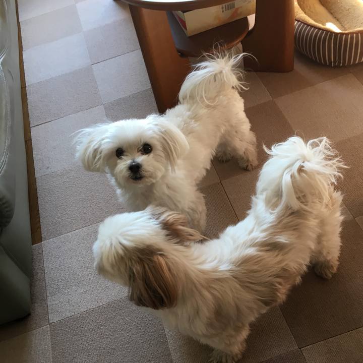 F0815aa0 d219 4cbc bc5f ff405aabb6bf 1547475511445