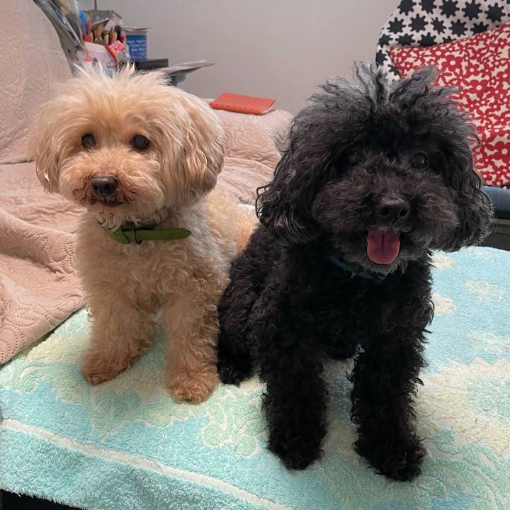 F08187ba 7beb 48d9 b185 596dbf4f7620 1625964866904