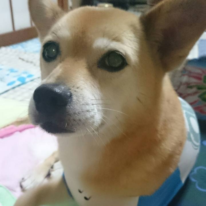 F0819a89 9346 47f2 b370 06b8a409307d 1530109444871