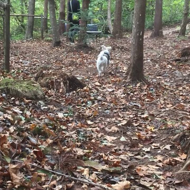 F081ebe7 cd14 43ce 93ac e9cdd1c396bb 1510139101025