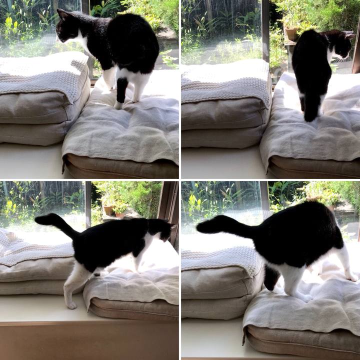 F081fd76 b371 4f0e 9dc5 d39b23d7991b 1536368427062