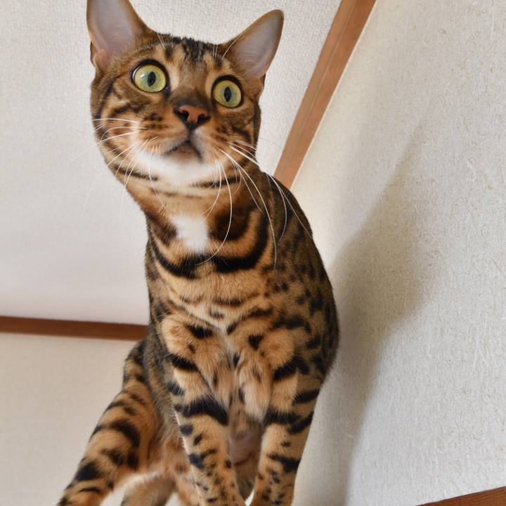 F0822072 f093 4de7 baf5 102d1dab7050 1511667466890