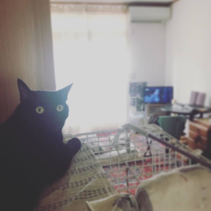 F0824249 d755 407a bebe 44930813cfda 1531268085151