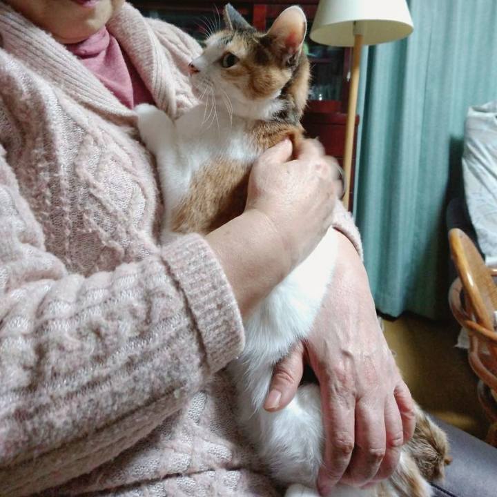 F082479e 67b4 4360 9f02 e9a017aba969 1610286096801