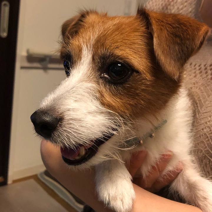 F0825296 04dc 4582 a743 054330984151 1571482648534