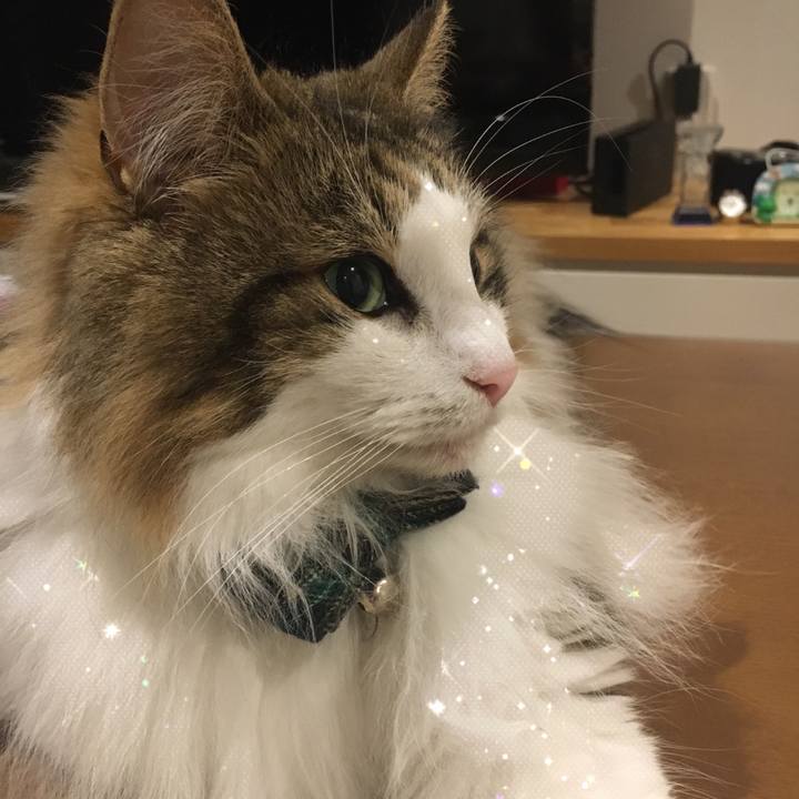 F0825dc0 2e09 40a1 a7bc 76e203742bdf 1621349793672