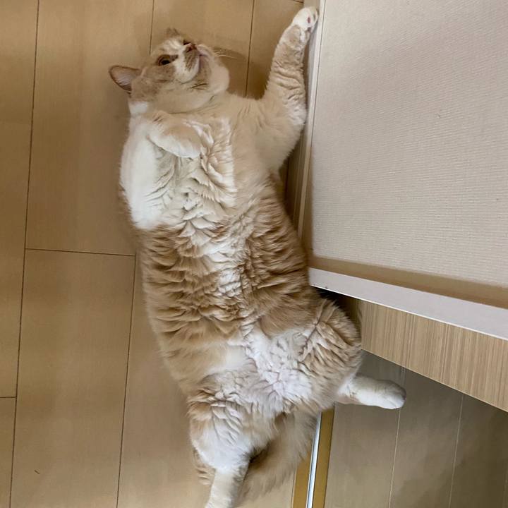 F08282de ca58 421e 9057 a203e9191ff0 1599653792073