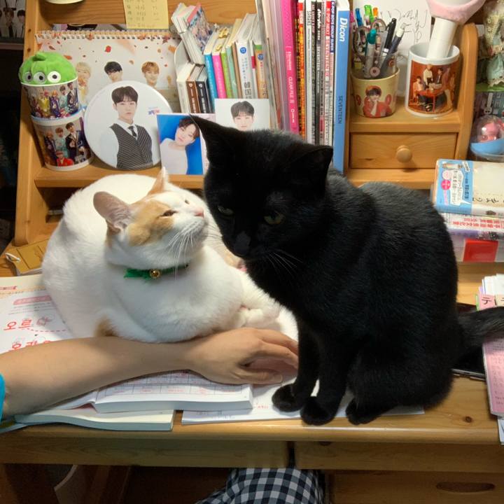 F0829921 6d78 4279 a88b 83a7fe04379e 1560693263856