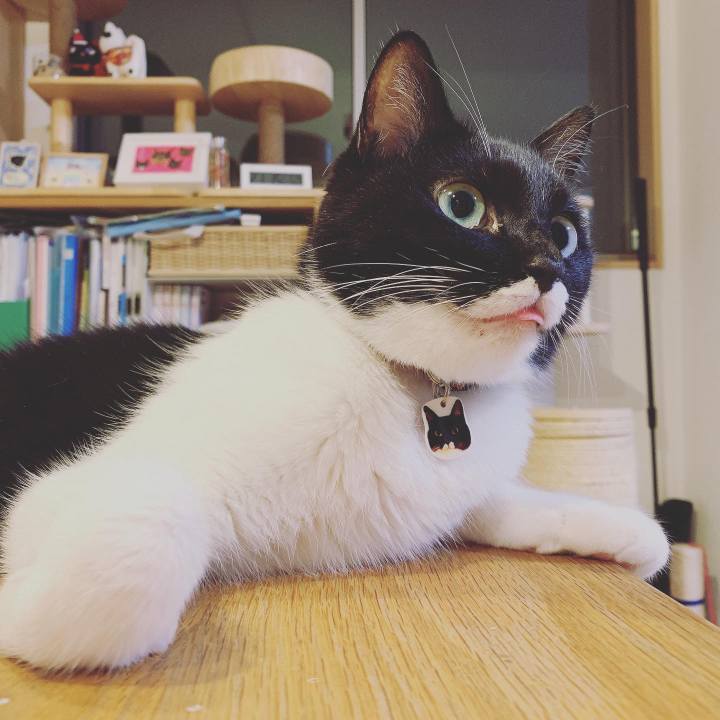 F082a7e8 c1f1 4ce6 bf6f 904cf0e4071d 1567948422742