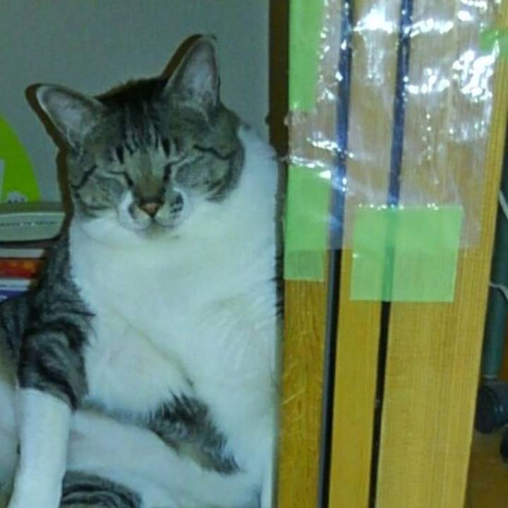 F082ab60 7799 46e1 b938 16b3fc9b56e5 1531316400281