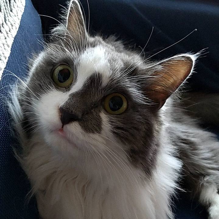 F082c792 e506 4153 8b1b 69e40626ac27 1627462235286