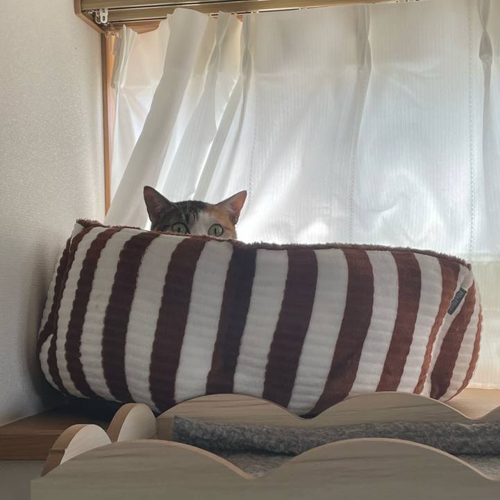 F082d633 8249 4e05 bc10 e8faf26900b4 1662776432495