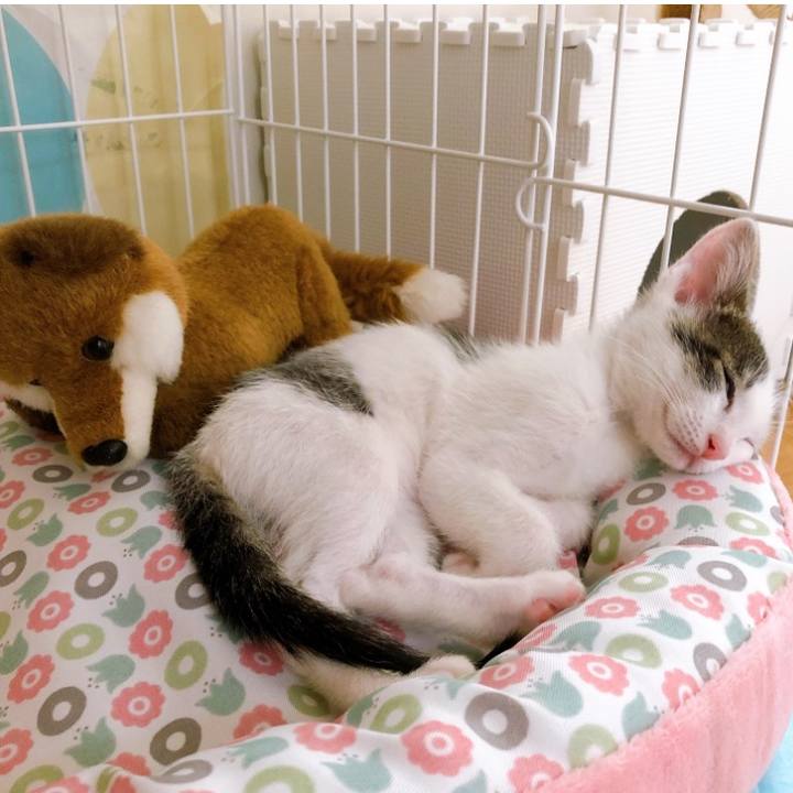 F082f81b 0d46 4bd6 99cb af94e8a5d304 1701266609542